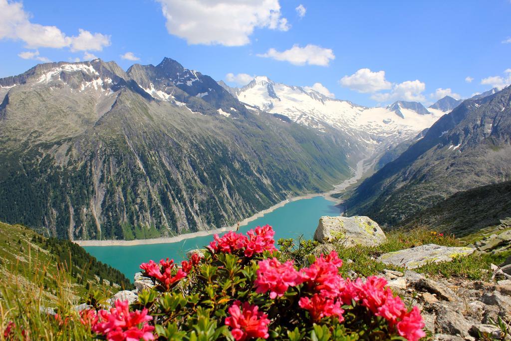 Alpen Appartements Hochmuth Mayrhofen Phòng bức ảnh